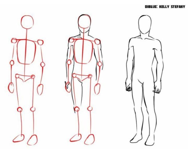 Схема рисования тела