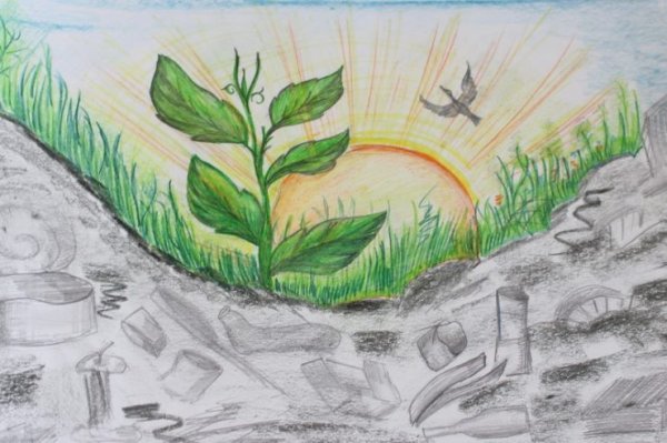 Рисуем экологию природы
