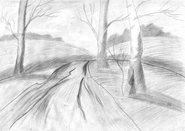 Рисунки карандашом природа деревья