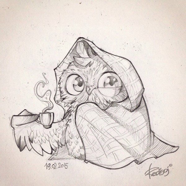 Рисунок Совы карандашом для срисовки