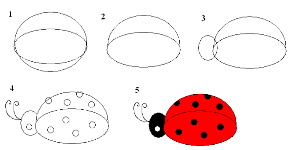 Поэтапное рисование Божьей коровки