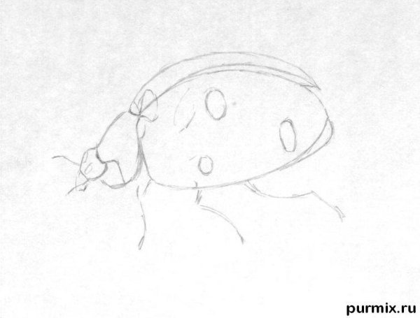 Божья коровка простым карандашом