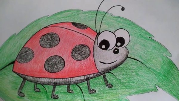 Нарисовать Божью коровку