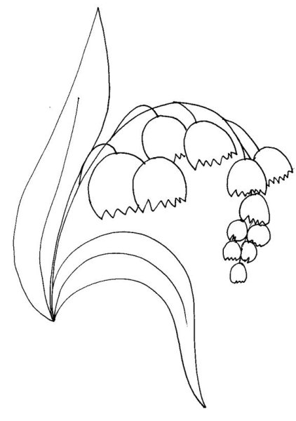 Ландыши трафарет для рисования
