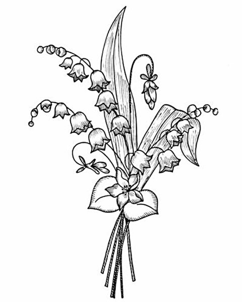 Цветочная композиция карандашом