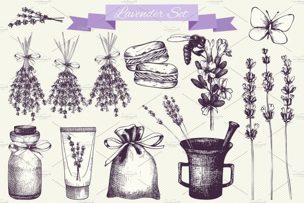 Лаванда рисунок карандашом