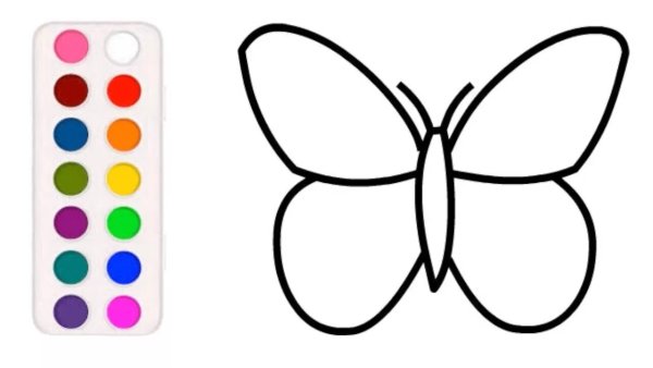 Бабочки для срисовки