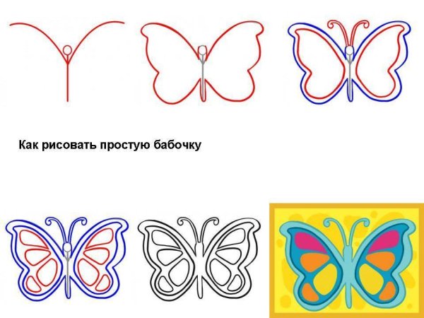 Раскраска "бабочки"