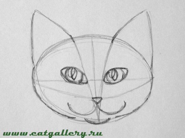 Поэтапное рисование морды кота