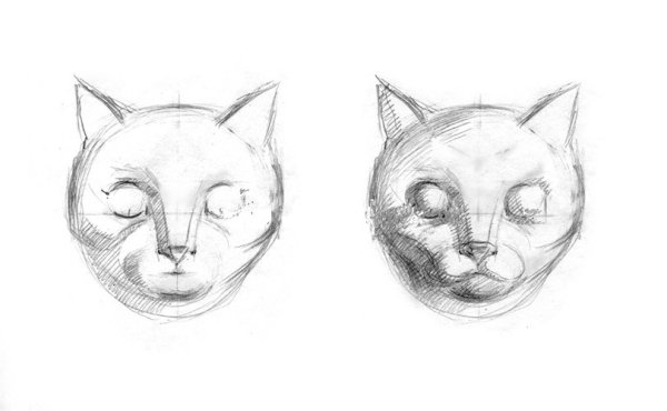 Морда кошки карандашом