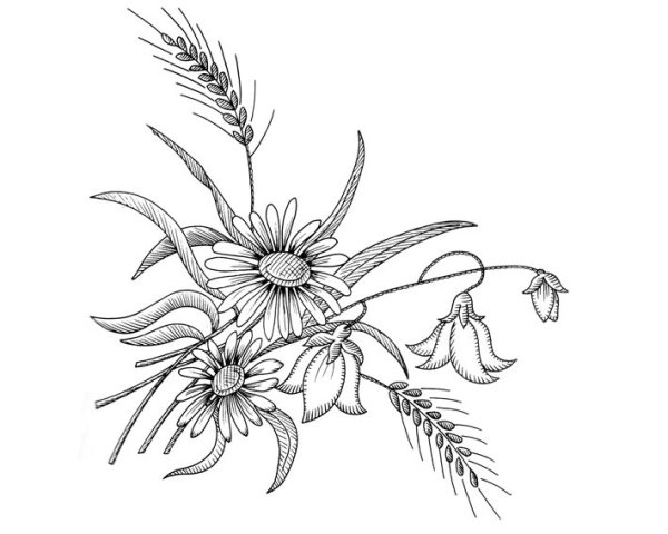 Трафарет для вышивки гладью полевые цветы