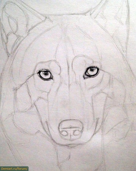 Рисунки карандашом