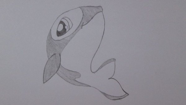 Касатка контур