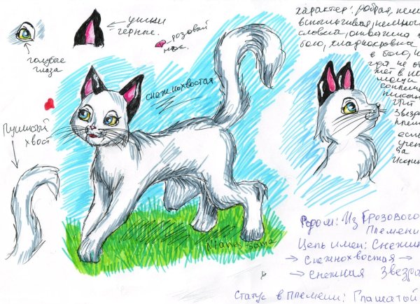 Коты Воители для срисовки карандашом