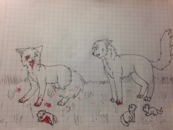 Рисовать котов воителей