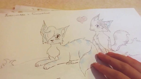 Коты Воители рисунок карандашом для срисовки