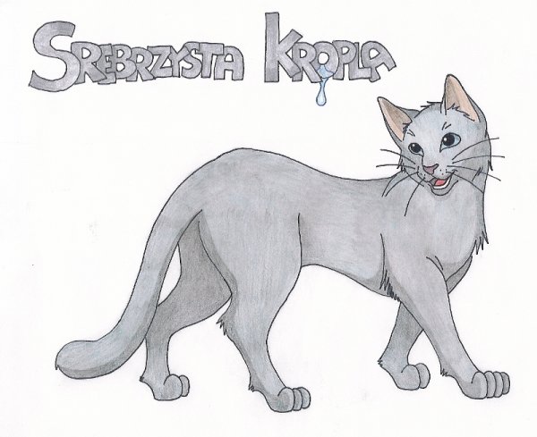 Котов воителей карандашом