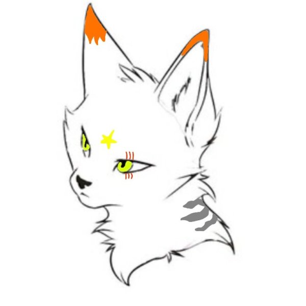 Коты Воители для срисовки