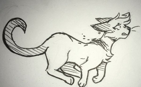 Мифические котики для срисовки