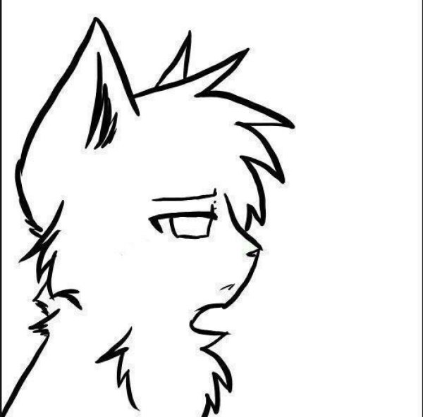 Коты Воители лайны одиночные