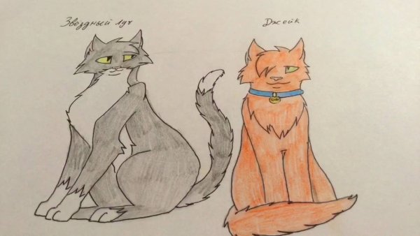 Рисунки котов воителей на бумаге
