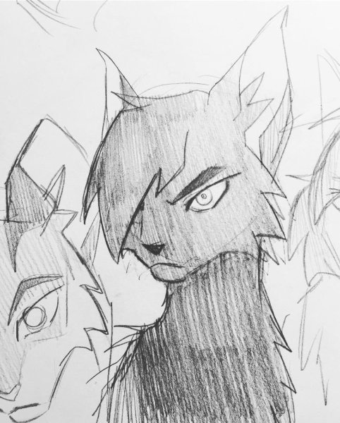 Коты Воители Наброски Бич