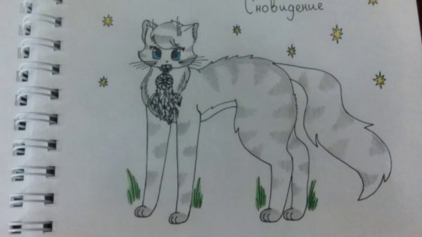 Коты Воители рисунки для скетчбука