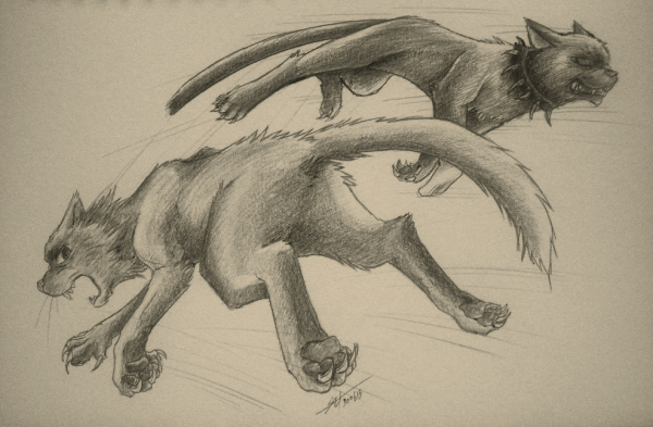 Коты Воители карандашом