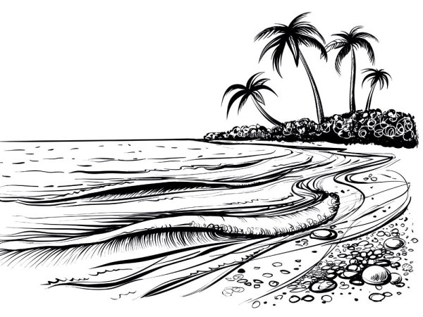 Ракушка набросок