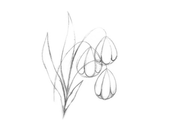 Весна в графике