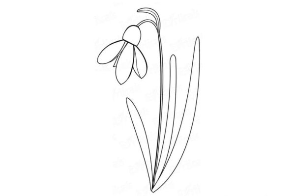 Подснежники рисунок легкий