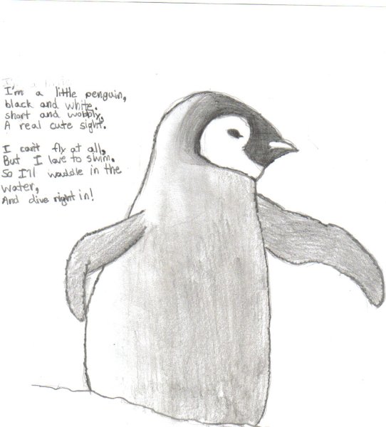 Пингвинчик рисунок карандашом