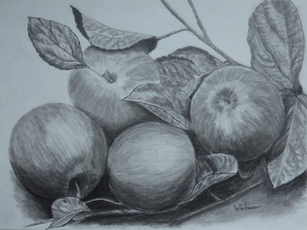 Графитный карандаш для рисования