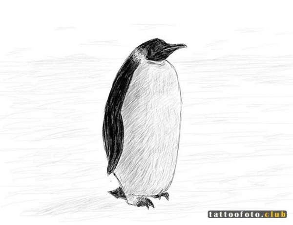 Пингвинчик рисунок карандашом