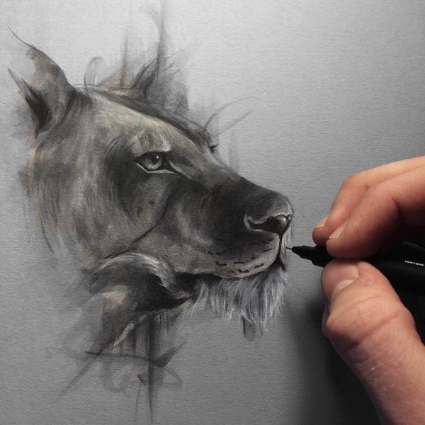 Рисунки грифельным карандашом простые