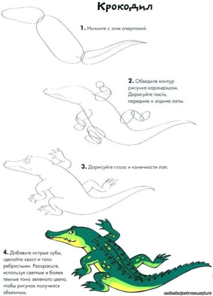 Поэтапное рисование крокодила для детей