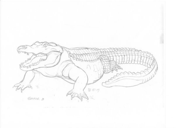 Крокодил рисунок карандашом простой