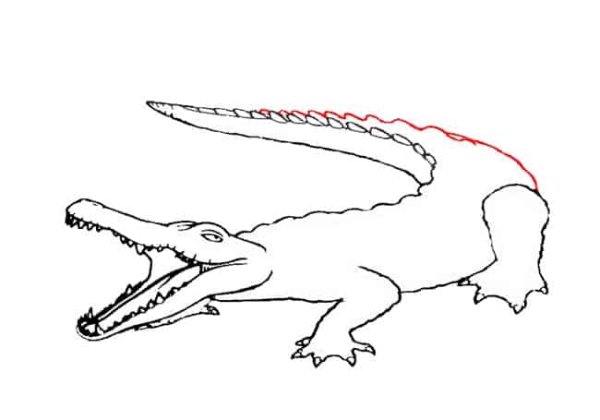 Крокодил карандашом