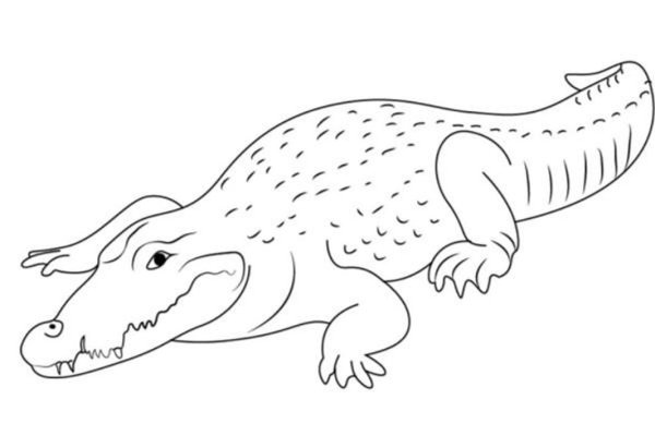 Аллигатор для детей легко