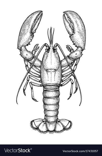 Рачки рисунок карандашом