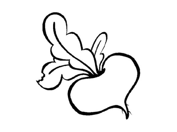 Репка рисунок карандашом