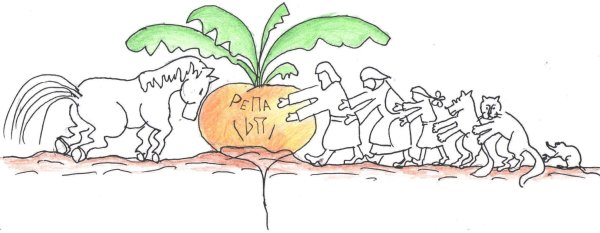 Сказки-раскраски. Репка