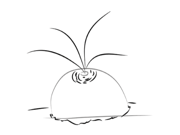 Репка раскраска для детей