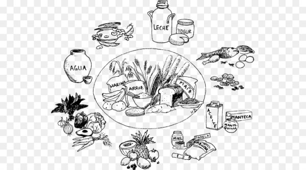 Здоровое питание раскраска