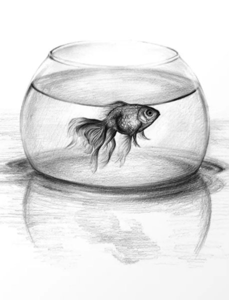 Аквариумные рыбки карандашом