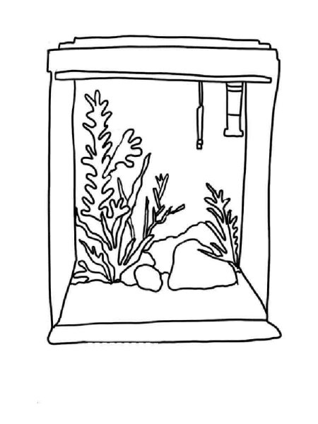 Аквариум для раскрашивания