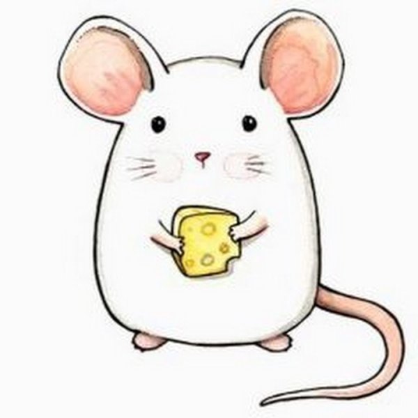 Поэтапное рисование крыса