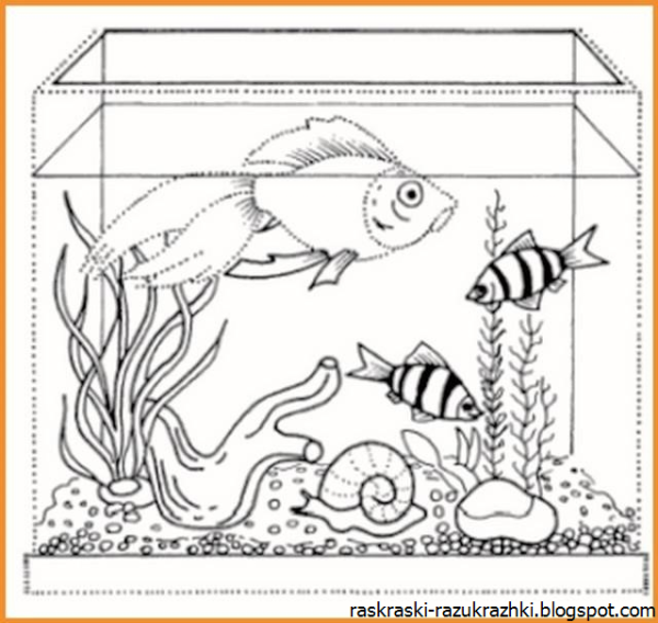 Раскраска аквариум с рыбками для детей