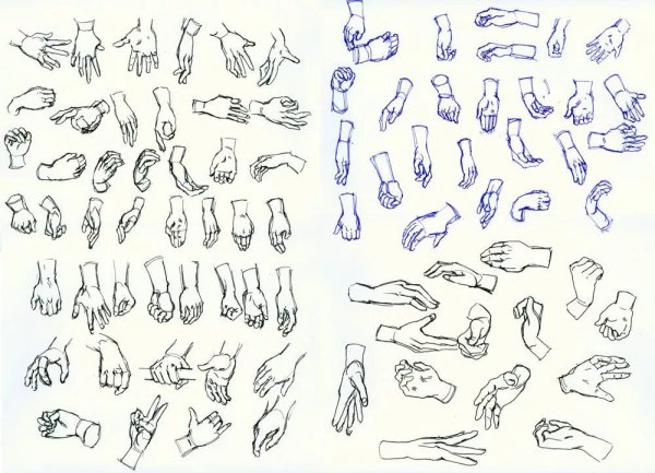 Части тела для рисования