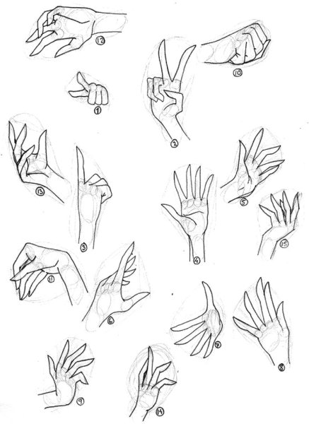 Референс кистей рук для новичка